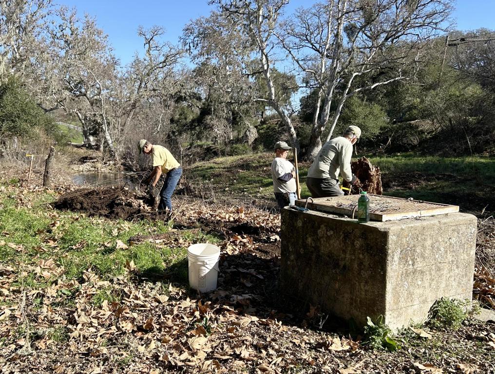 Removing the wire fencing